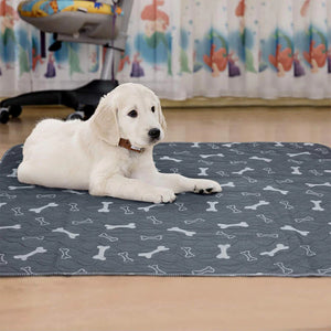 Pawdo® Potty Pad